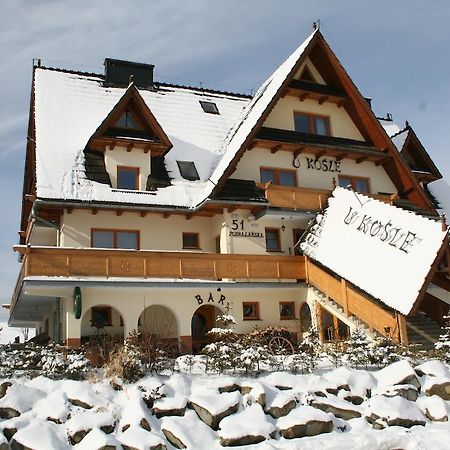 Willa U Kosle Zakopane Kültér fotó