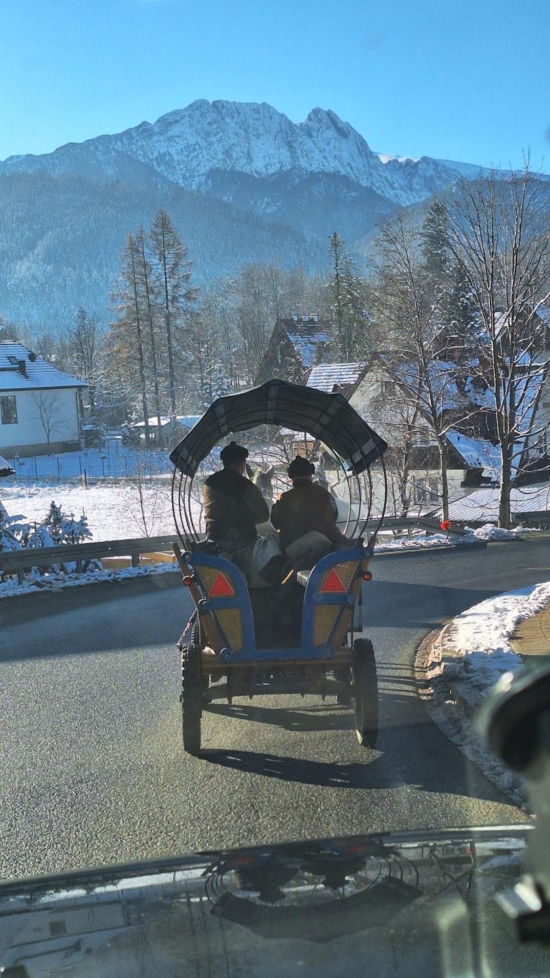 Willa U Kosle Zakopane Kültér fotó