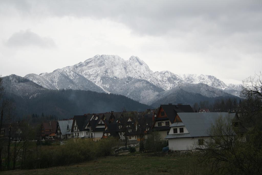 Willa U Kosle Zakopane Kültér fotó